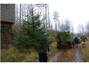 Es weihnachtet in St. Crescentius (Foto: Karl-Franz Thiede)